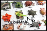 Animal Match - PETS - Miniature Animals with Matching Cards - 2 Part Cards.  Montessori learning toy, language materials - Pet Animals