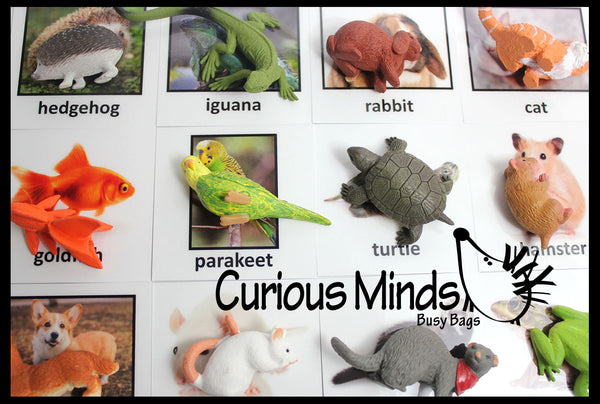 Animal Match - PETS - Miniature Animals with Matching Cards - 2 Part C ...