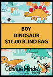 BLIND BAGS - Mystery Surprise Bags with Assorted Fidgets and Toys - Birthday Gift - Popular Kids Gift