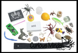 Alphabet Objects - Beginning Letter Sounds Set 1 -  Alphabet miniatures to use with movable alphabet