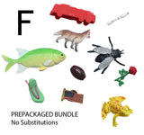 z ALPHABET OBJECTS BY LETTER F