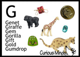 z ALPHABET OBJECTS BY LETTER G