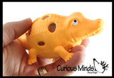 LAST CHANCE - LIMITED STOCK - Set of 5 Reptile & Amphibian Animal Mesh Ball Bundle - Boy Alligator/Turtle/Shark/Dinosaur/Frog - Squishy Water Bead Stress Ball - Mesh  Fun Fidget - Crocodile Gator - Blob Webby Mesh Ball - Squishy Fidget Ball