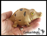 LAST CHANCE - LIMITED STOCK - Set of 5 Reptile & Amphibian Animal Mesh Ball Bundle - Boy Alligator/Turtle/Shark/Dinosaur/Frog - Squishy Water Bead Stress Ball - Mesh  Fun Fidget - Crocodile Gator - Blob Webby Mesh Ball - Squishy Fidget Ball