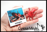 Animal Match - OCEAN - Miniature Ocean Animals with Matching Cards - 2 Part Cards.  Montessori learning toy, language materials - Ocean Animals