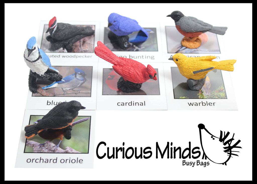 Animal Match - BIRD - Miniature Animals with Matching Cards - 2 Part Cards.  Montessori learning toy, language materials