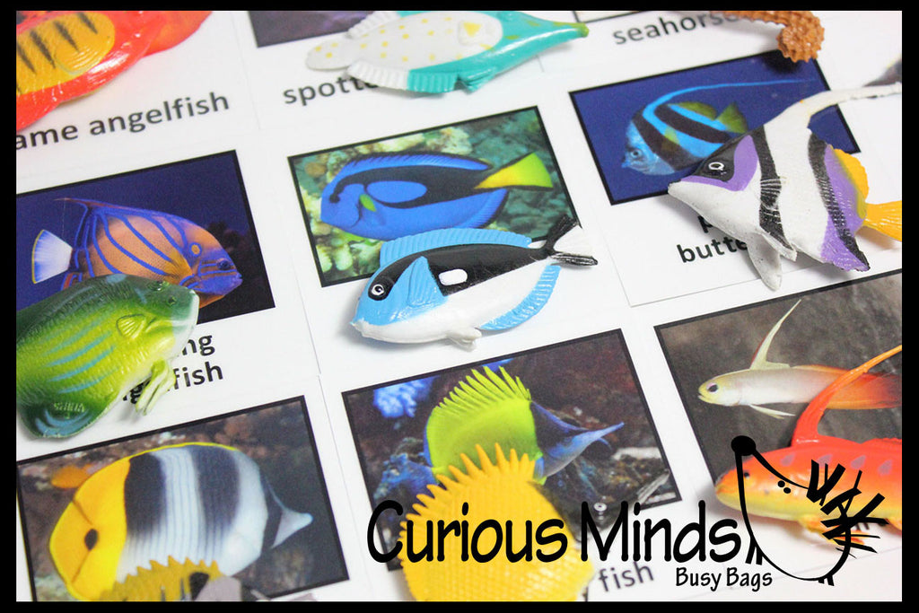 Pattern Matching Fish Pattern Matching | Curious Minds Busy Bags