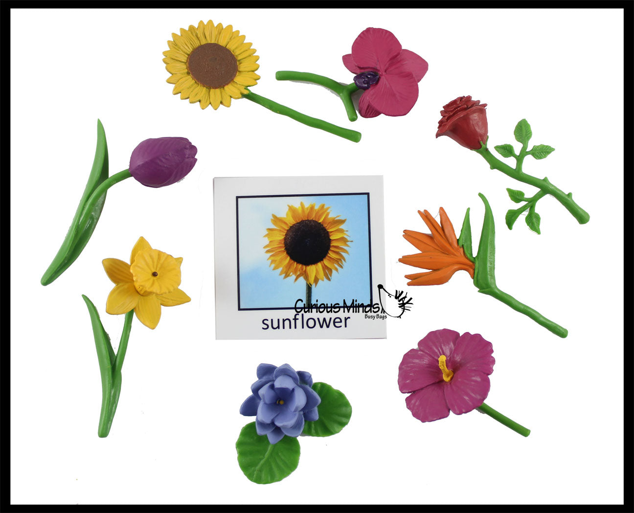 Flowers Montessori Object Match - Miniature flowers with Matching