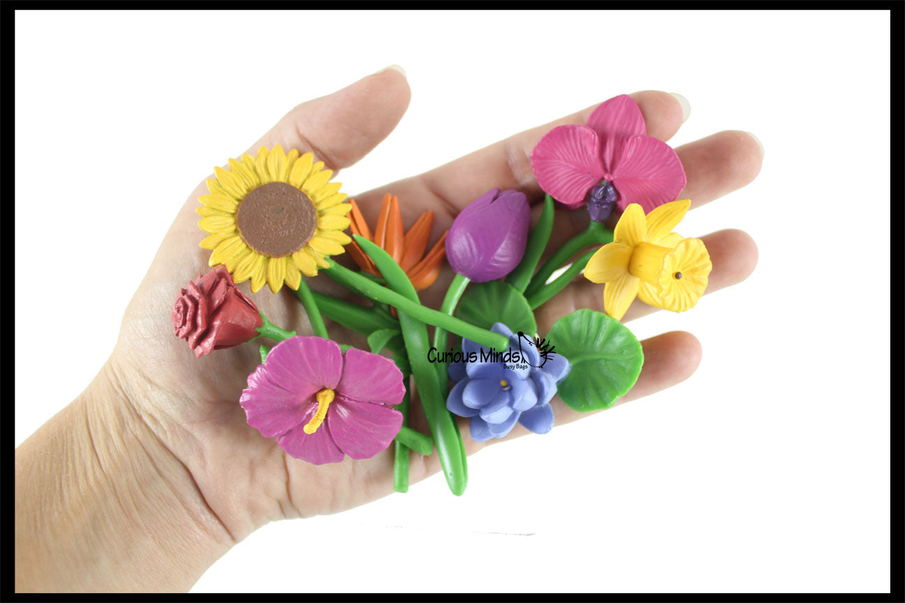 Flowers Montessori Object Match - Miniature flowers with Matching Card