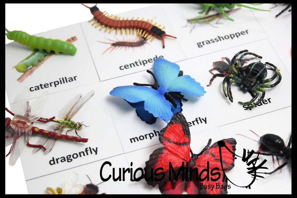 Animal Match - INSECTS & BUGS - Miniature Animals with Matching Cards - 2 Part Cards.  Montessori learning toy, language materials - Insects & Bugs