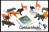 Animal Match - SAFARI -Miniature Animals with Matching Cards - 2 Part Cards.  Montessori learning toy, language materials - Safari Jungle Zoo Animals
