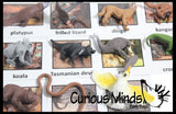 Animal Match - AUSTRALIAN - Miniature Animals with Matching Cards - 2 Part Cards.  Montessori learning toy, language materials - Australian Animals