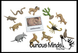 Animal Match - DESERT - Miniature Animals with Matching Cards - 2 Part Cards.  Montessori learning toy, language materials - Desert Animals