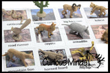 Animal Match - DESERT - Miniature Animals with Matching Cards - 2 Part Cards.  Montessori learning toy, language materials - Desert Animals