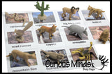 Animal Match - DESERT - Miniature Animals with Matching Cards - 2 Part Cards.  Montessori learning toy, language materials - Desert Animals
