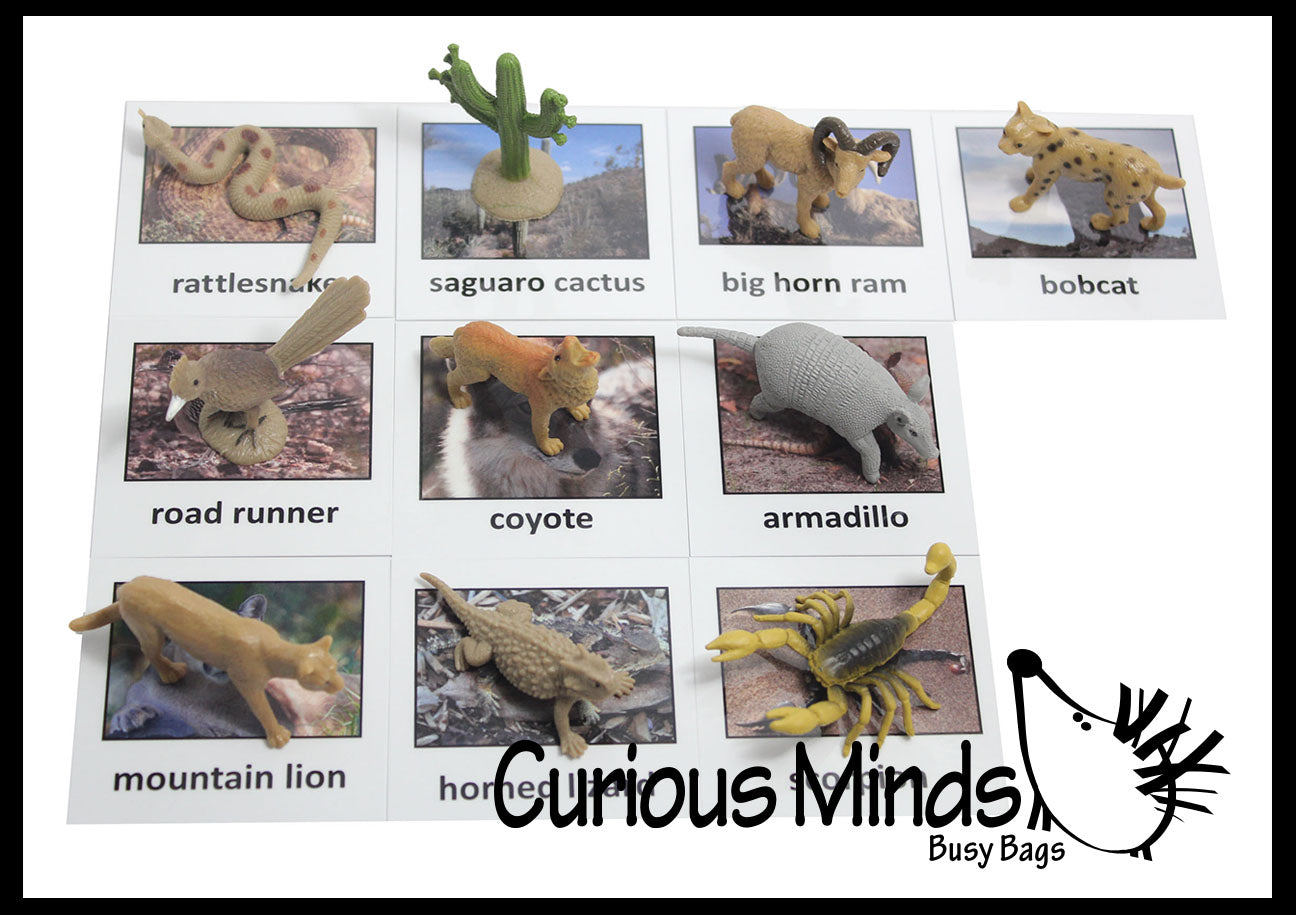 Desert outlet animal figurines