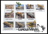 Animal Match - DESERT - Miniature Animals with Matching Cards - 2 Part Cards.  Montessori learning toy, language materials - Desert Animals