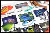Animal Match - TROPICAL FISH - Miniature Animals with Matching Cards - 2 Part Cards.  Montessori learning toy, language materials - Tropical Fish