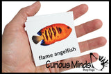 Animal Match - TROPICAL FISH - Miniature Animals with Matching Cards - 2 Part Cards.  Montessori learning toy, language materials - Tropical Fish