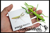 Animal Match - INSECTS & BUGS - Miniature Animals with Matching Cards - 2 Part Cards.  Montessori learning toy, language materials - Insects & Bugs