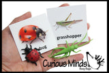 Animal Match - INSECTS & BUGS - Miniature Animals with Matching Cards - 2 Part Cards.  Montessori learning toy, language materials - Insects & Bugs