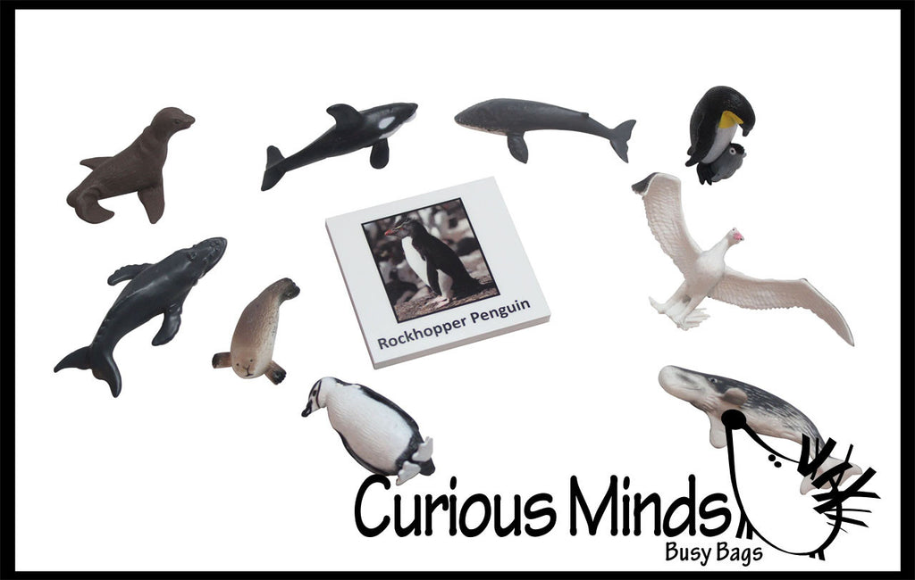Animal Match - ANTARCTICA - Miniature Animals with Matching Cards - 2 Part Cards.  Montessori learning toy, language materials - Antarctic Animals