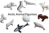 z ALPHABET OBJECTS BY LETTER F