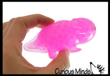 Axolotl Water Bead Filled Squeeze Stress Ball  -  Sensory, Stress, Fidget Toy Axolotyl Walking Fish