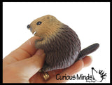 Beaver Stretchy and Squeezy Toy - Crunchy Bead Filled - Fidget Stress Ball Cute