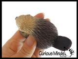 Beaver Stretchy and Squeezy Toy - Crunchy Bead Filled - Fidget Stress Ball Cute
