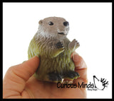 Beaver Stretchy and Squeezy Toy - Crunchy Bead Filled - Fidget Stress Ball Cute