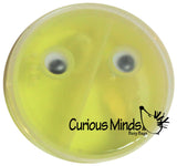 LAST CHANCE - LIMITED STOCK - Bob the Glob Mini Travel Putty / Slime with eyes