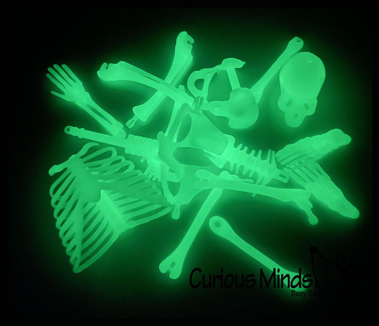 Box of Bones - Glow in the Dark Bone Puzzle - 3D Puzzle Moving Skeleton - Doctor - Anatomy - Halloween Spooky Favor