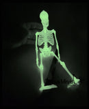 Box of Bones - Glow in the Dark Bone Puzzle - 3D Puzzle Moving Skeleton - Doctor - Anatomy - Halloween Spooky Favor