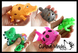 LAST CHANCE - LIMITED STOCK - Set of 5 Reptile & Amphibian Animal Mesh Ball Bundle - Boy Alligator/Turtle/Shark/Dinosaur/Frog - Squishy Water Bead Stress Ball - Mesh  Fun Fidget - Crocodile Gator - Blob Webby Mesh Ball - Squishy Fidget Ball