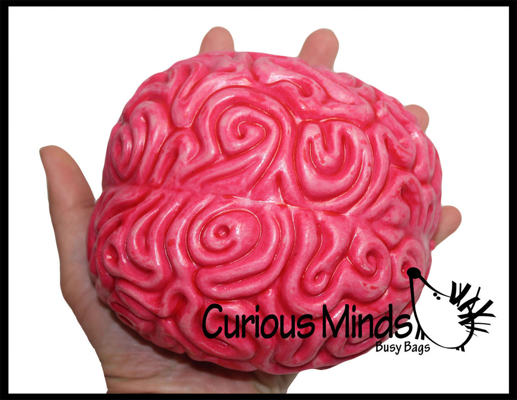 LAST CHANCE - LIMITED STOCK -  Giant Brain Ball - Flexible Soft Air Filled Novelty Ball -  Sensory, Stress, Fidget Toy