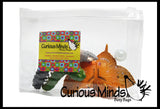 Butterfly (or Frog) Life Cycle Learning Set - Animal Figures with Matching Cards - Montessori Educational Toy