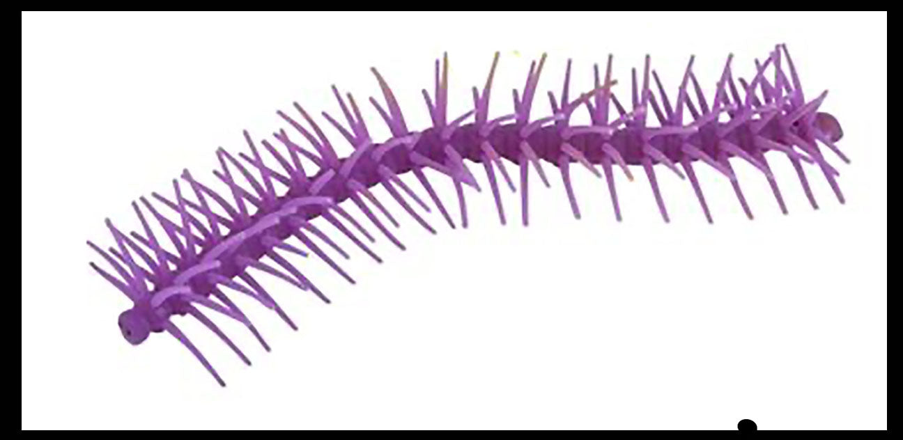 Stretchy centipede sale