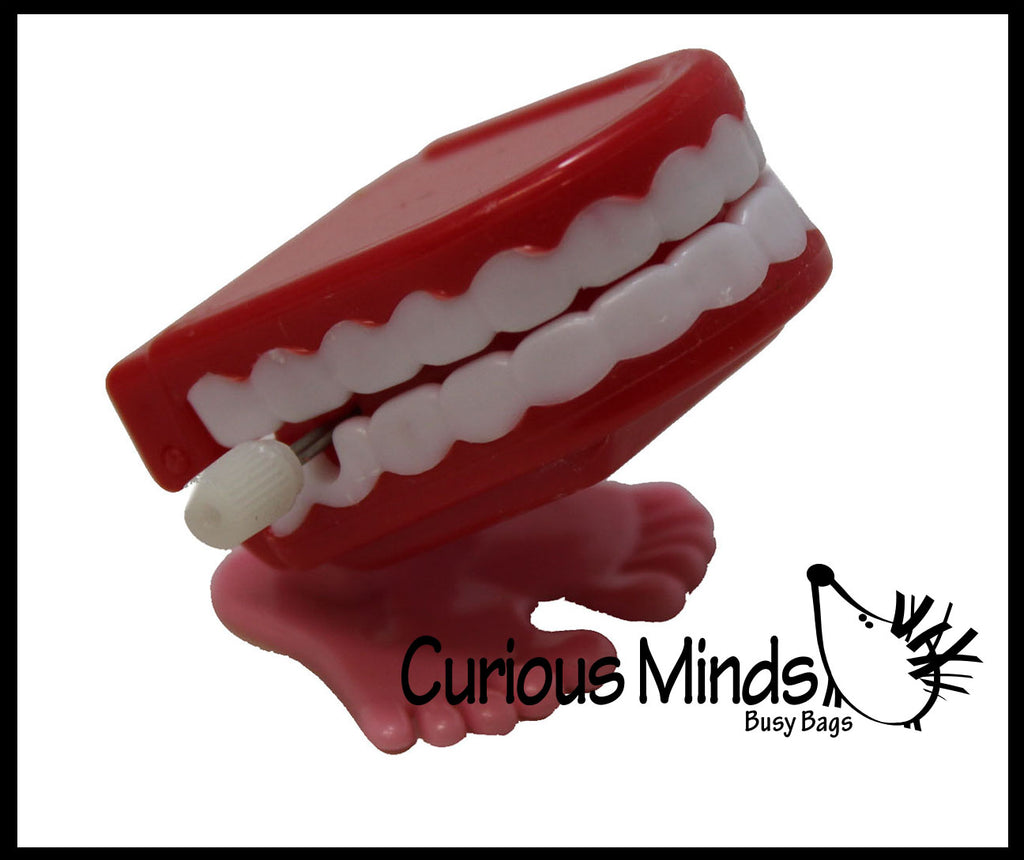 LAST CHANCE - LIMITED STOCK - Wind Up Chattering Teeth - Dental Treasure Toys