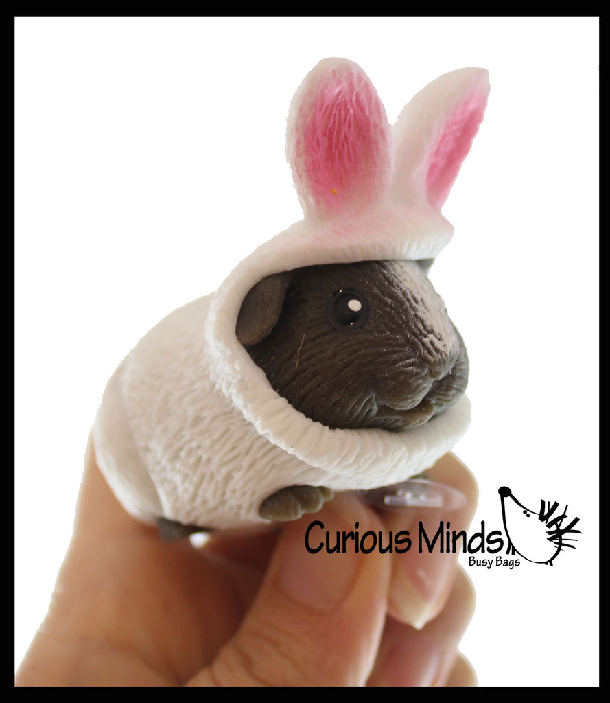 Cute Hamster Guiana Pig in Costume - Dog Crushed Bead Sand Filled - Gerbil Lover Sensory Fidget Toy Weighted - Removable Costume Doll