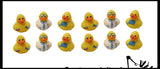 LAST CHANCE - LIMITED STOCK -  SALE - Dentist Rubber Duckies - Dental Treasure Toys