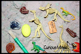 LAST CHANCE - LIMITED STOCK - Dinosaur Dig #1 Excavation Sensory Bin Toy - Dino skeleton, fossil Game