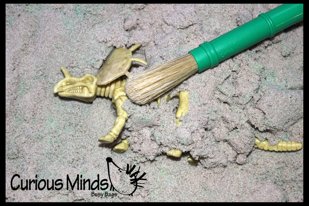 LAST CHANCE - LIMITED STOCK - Dinosaur Dig #1 Excavation Sensory Bin Toy - Dino skeleton, fossil Game