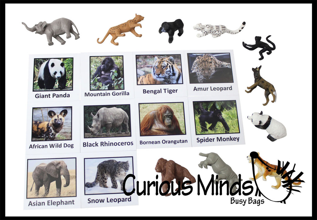 Animal Match - ENDANGERED SPECIES - Miniature Animals with Matching Cards - 2 Part Cards.  Montessori learning toy, language materials