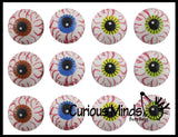 Eye Erasers - Eyeball Gross School Supply - Doctor, Optometrist Ophthalmology - Party Favor -Halloween Trick or Treat