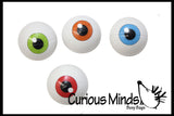 24 Body Stress Balls - Eye and Skull Stress Ball Toys - Doctor, Nurse, Med Students, Radiologist Halloween