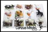 Animal Match - FARM - Miniature Animals with Matching Cards - 2 Part Cards.  Montessori learning toy, language materials - Farm Animals