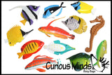 LAST CHANCE - LIMITED STOCK  - SALE - Fish & Bowl Pool Dive Toy - Water Table Toy Bath Tub
