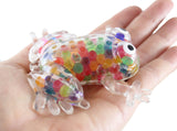 Frog Rainbow Water Bead Filled Squeeze Stress Ball  -  Sensory, Stress, Fidget Toy