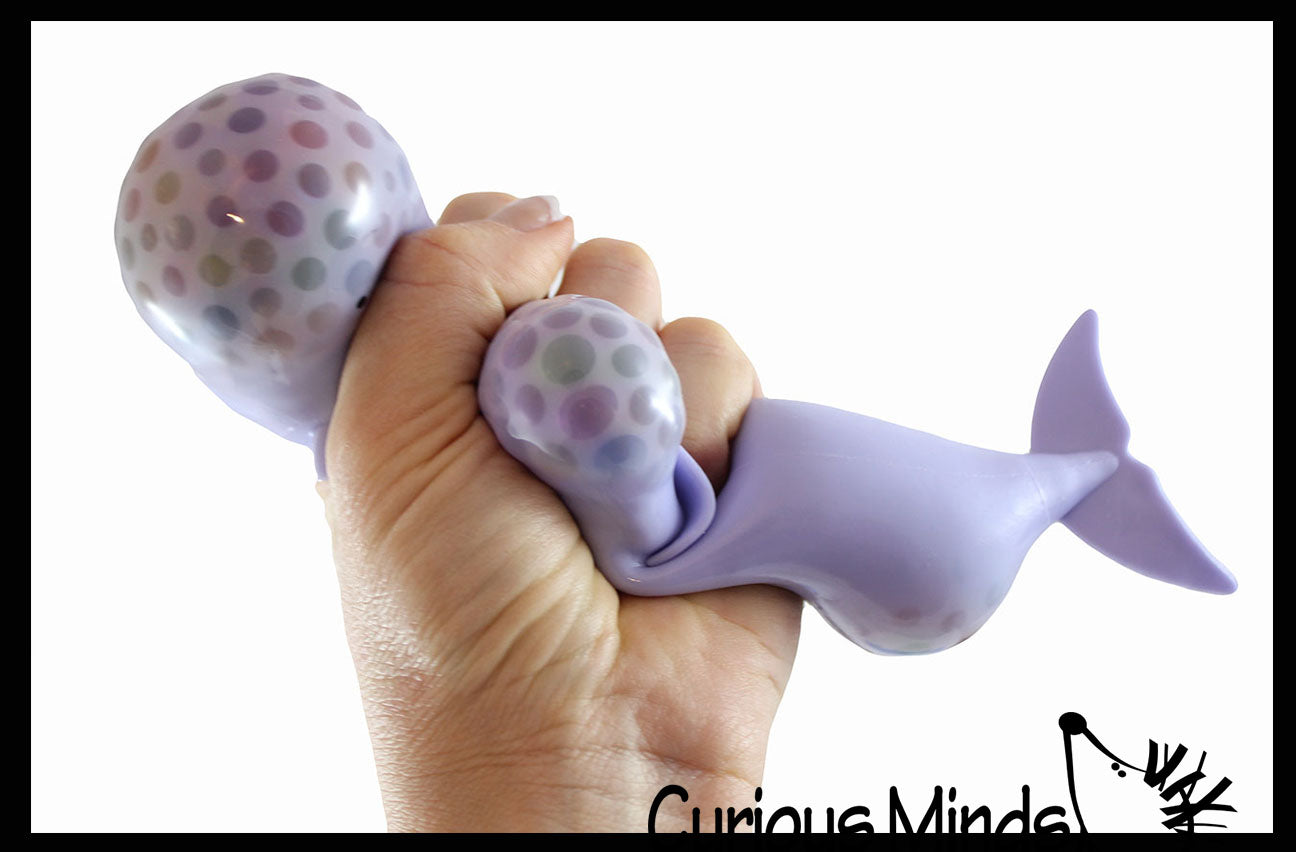 Jumbo Dolphin Water Bead Filled Squeeze Stress Ball - Sensory, Stress, Fidget Toy 1 Random Color Jumbo Dolphin Water Bead Filled Squeeze Stress Ball - Sensory, Stress, Fidget Toy 1 Random Color